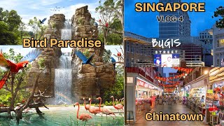 Download lagu Singapore Bird Paradise l Singapore Bugis Market l Chinatown l Singapore tourist places mp3 Download lagu Singapore Bird Paradise l Singapore Bugis Market l Chinatown l Singapore tourist places mp3