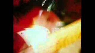 The Dream Syndicate - The Days of Wine and Roses