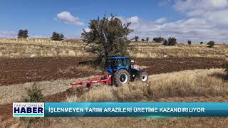 İşlenmeyen tarım arazileri üretime kazandırılıyor
