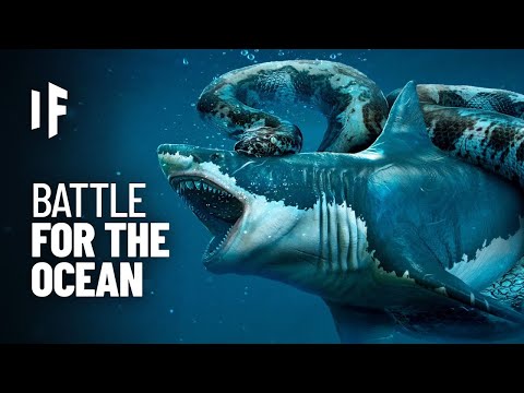 What If Megalodon Fought Titanoboa?