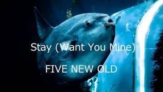 Stay (Want You Mine) / FIVE NEW OLD 【Full Cover】