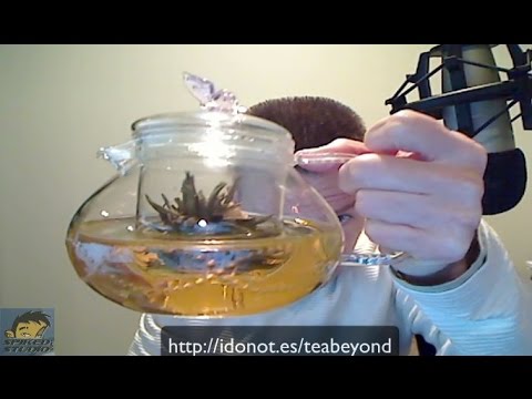 download lagu mp3 mp4 Spiked Tea Infuser, download lagu Spiked Tea Infuser gratis, unduh video klip Spiked Tea Infuser