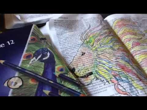 Bible Art Journal: Lion 4-Laying in Color