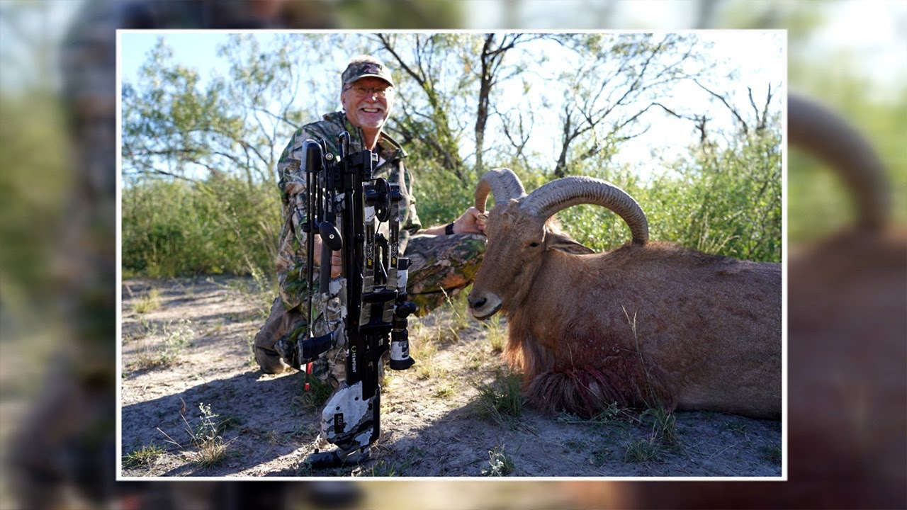 The TenPoint TRX 26 Crossbow Smokes a Texas Aoudad