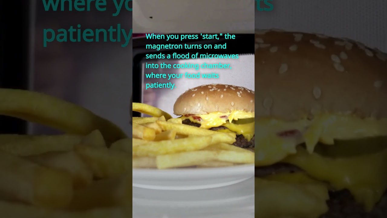 Revealing the physics of the microwave: from cold to cooked in seconds.