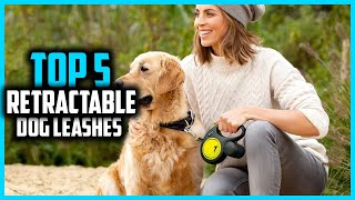 ✅ Top 5 Best Retractable Dog Leashes 2026