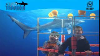 DIA 2 Expo Tiburon49