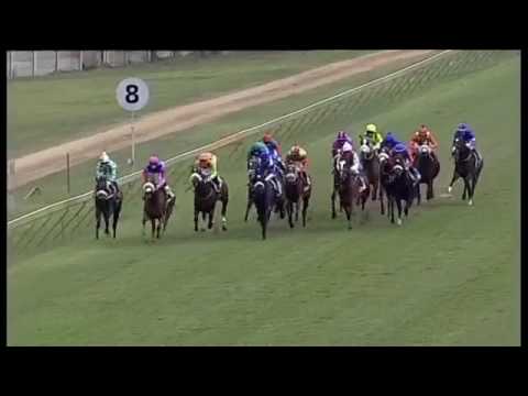 2017.05.27 Allan Robertson Championship (RSA) - Brave Mary