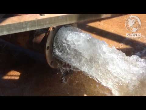 Website WINTERGARDEN WELL   FinalH 264