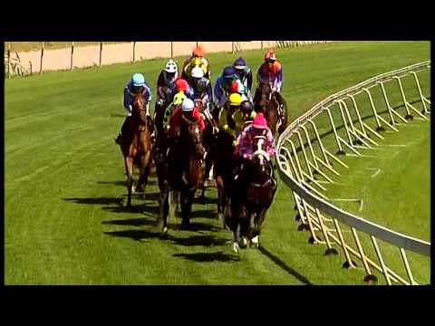 2016 Maine Chance Farms Paddock Stakes - Smart Call