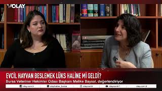 Bursa Veteriner Hekimler Odası Başkanı Melike Baysal, Melisa Öztürer Ö