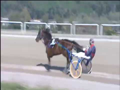 Trotto 06/04/2018 - 4ª corsa