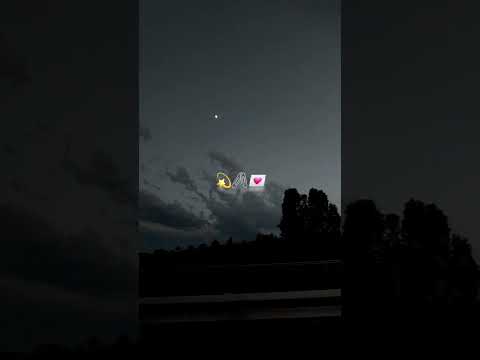 @REUZOG #musica #music #yerimua #brattiputy