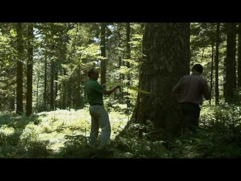 Hotzenwald Life - Projekt Film