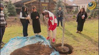 «Այս ծառի զույգը պետք է լինի Շուշիում». Արցախից բերված հողով Գ. Ծառուկյանի այգում ծառ է տնկվել
