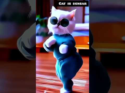 #catvideos  # #paramsundari #youtubeshorts #fyp