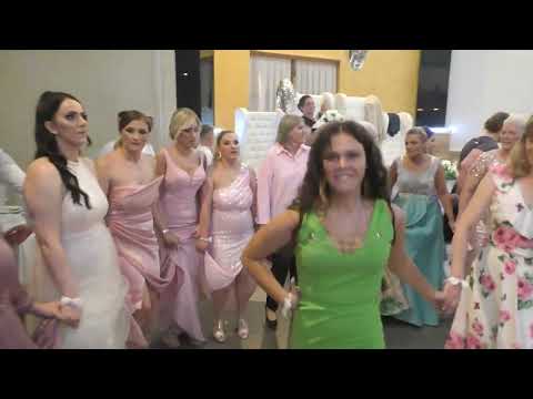 Svadbeno kolo u restoranu, veseli svatovi na nogama