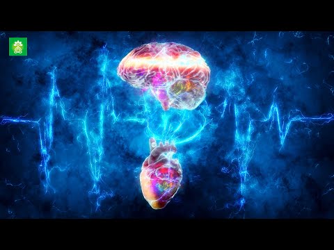 Heart Brain Coherence | Synchronicity Binaural Beats | 0.1 Hertz Frequency | Meditation Music