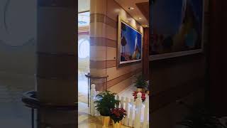 Very Merry Christmas 🎄 @ Disney Dream #disney #cruiseship #cruise #disneydream