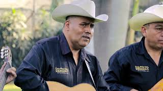 Impacto Sierreño- Collar de Guamuchil