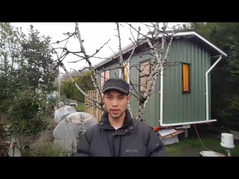 Tiny House on Wheels - Progress Update #10