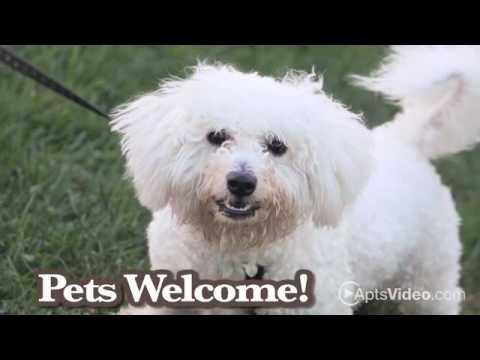 Fort Adams Apartments in Newport, RI - ForRent.com