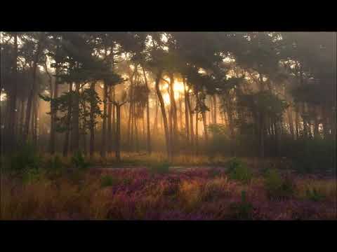 Esa E Hellsten Aarteita etsimässä