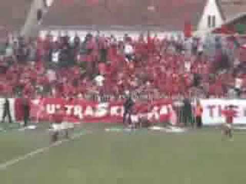 Kamikaza-t  Gilan - Skifterat 