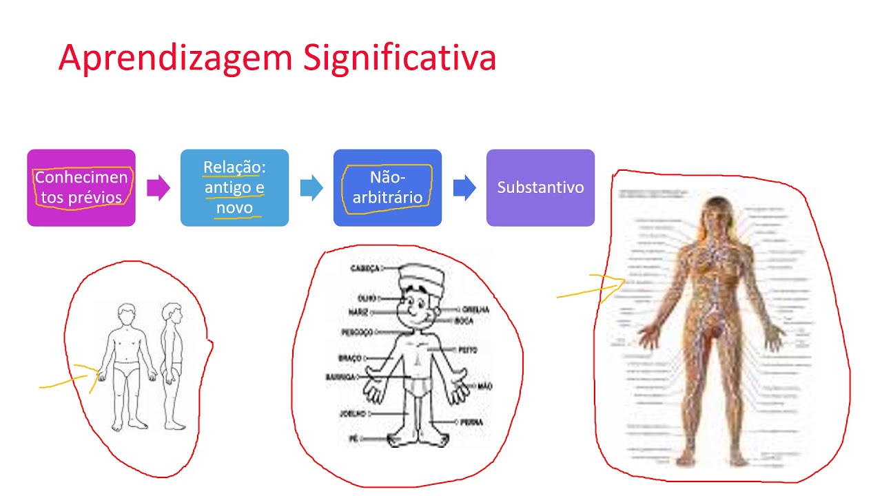 Tecnodocência EaD Teoria da Aprendizagem Significativa