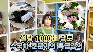 꽃차 전문가가 알려주는 수국차 만드는법!!