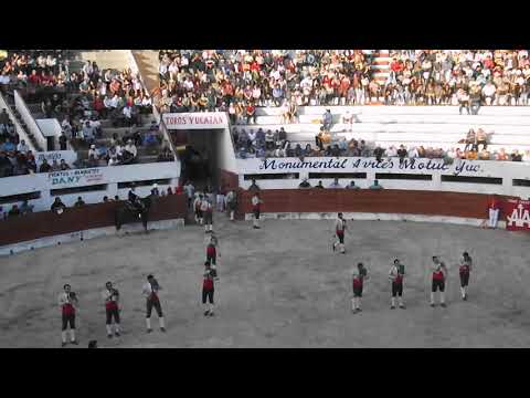 Paseillo Motul 7 de enero 2018 Entrada Forcados