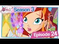 Winx Club - Season 3 Episode 24 - The Witches' Crypt [4KIDS FULL EPISODE]