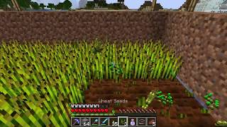 How to Harvest your Wheat Seeds - Minecraft