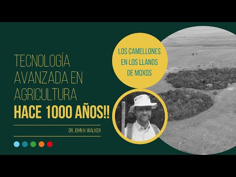 Ver video