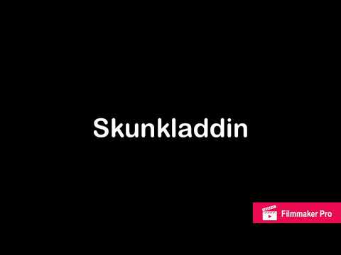 Skunkladdin Cast Video
