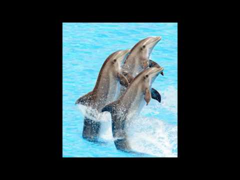 DJ Crashmaster -  Lost (I'm lost)