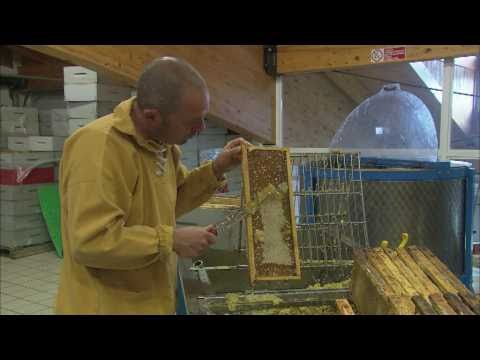 Honig: Genuss und Medizin - Trailer einer Dokumentation von NZZ Format