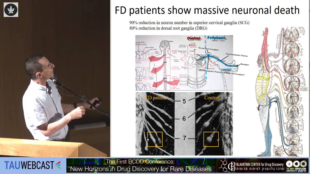 Phosphatidylserine ameliorates neurodegenerative symptoms and enhances axonal....