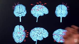 Epilepsy patient married and seizure-free after new treatment at Mayo Clinic