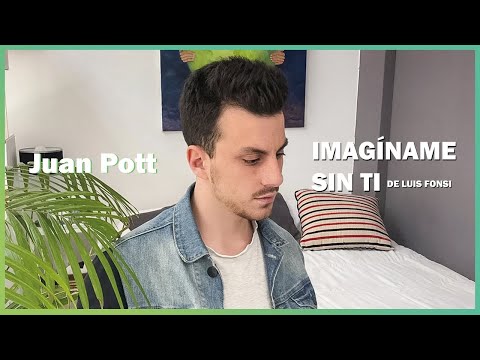 Imaginame Sin Ti de Luis Fonsi - Cover JUAN POTT