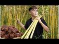 Chef Triệu Minh Leaves The City Harvest 100kg Of Sugarcane Cook Traditional Sugar For The Whole Ye
