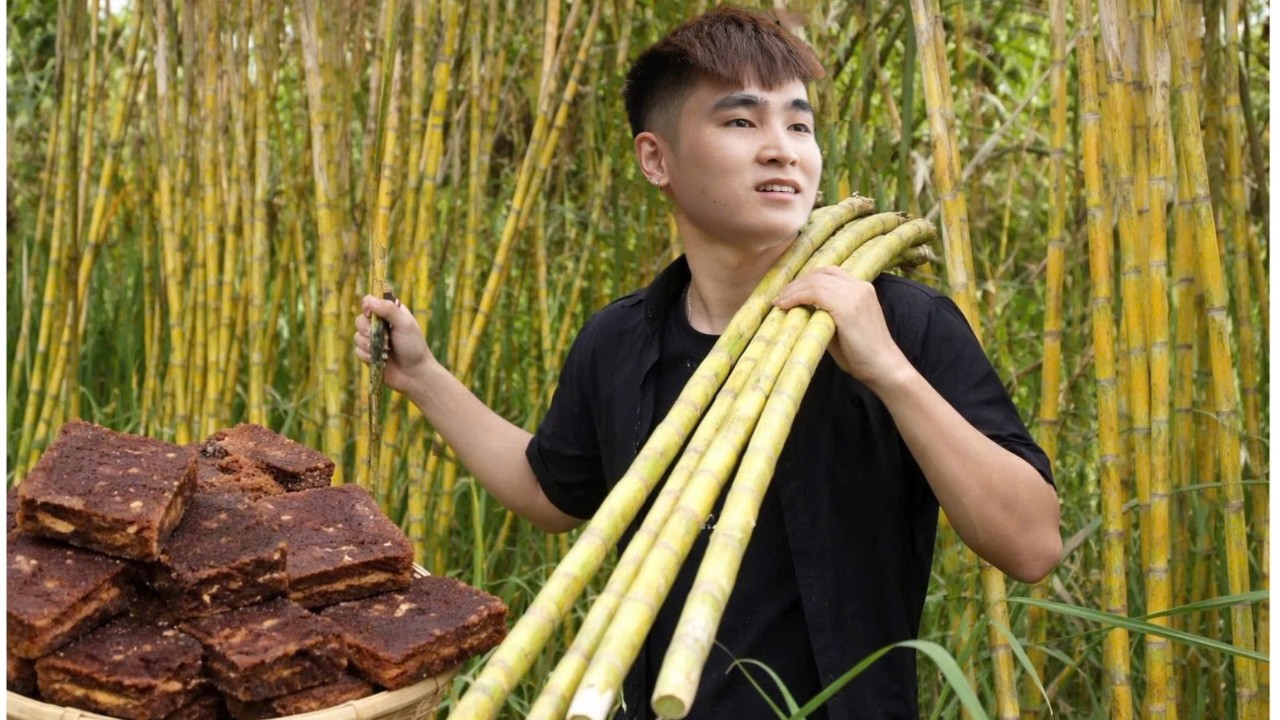 Chef Triệu Minh leaves the city Harvest 100kg of Sugarcane Cook Traditional Sugar for the Whole Year