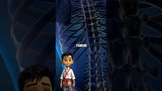 Download lagu Panjang nya syaraf ditubuh manusia | #trending #trendingshorts #viral #shortvideo mp3 Download lagu Panjang nya syaraf ditubuh manusia | #trending #trendingshorts #viral #shortvideo mp3