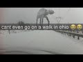 Ohio Meme Compilation