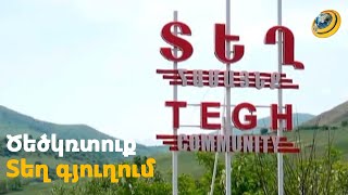 Ծե՞ծ, թե՞ վեճ. ի՞նչ է կատարվել Տեղ գյուղում