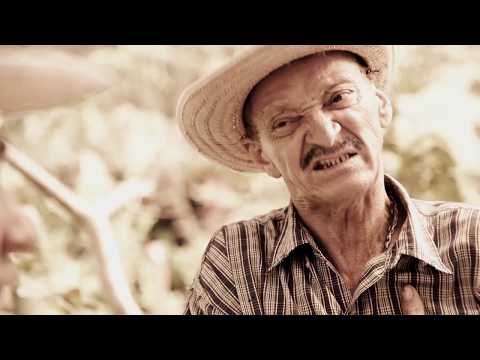 Os Caipirões - Mobrar