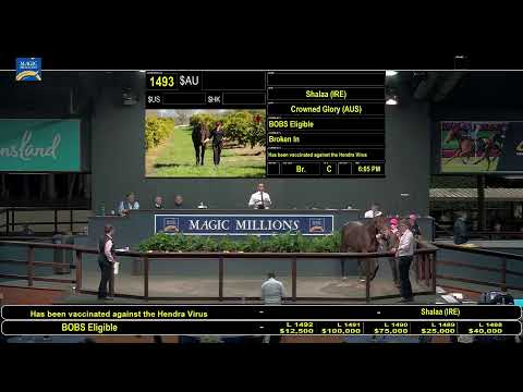 2020 Gold Coast National Yearling Sale Day 1
