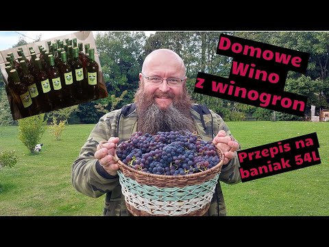 Wino z winogron - przepis na balon 54L