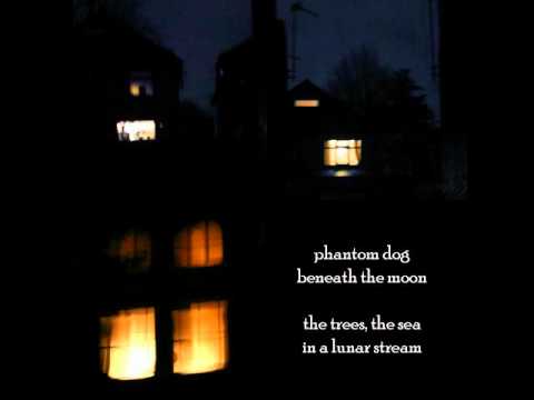 Phantom Dog Beneath the Moon - As Perceived by Mice