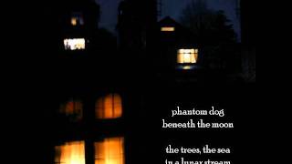 Phantom Dog Beneath the Moon - As Perceived by Mice